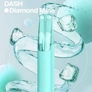 SNOWPLUS DASH 4000口薄荷
